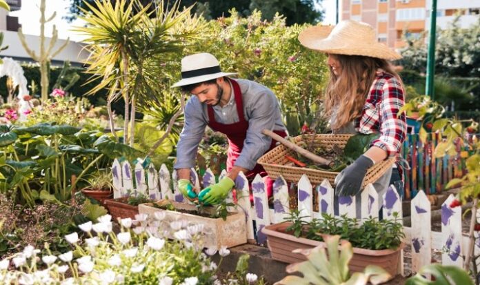 decadgarden yard tips by decoratoradvice